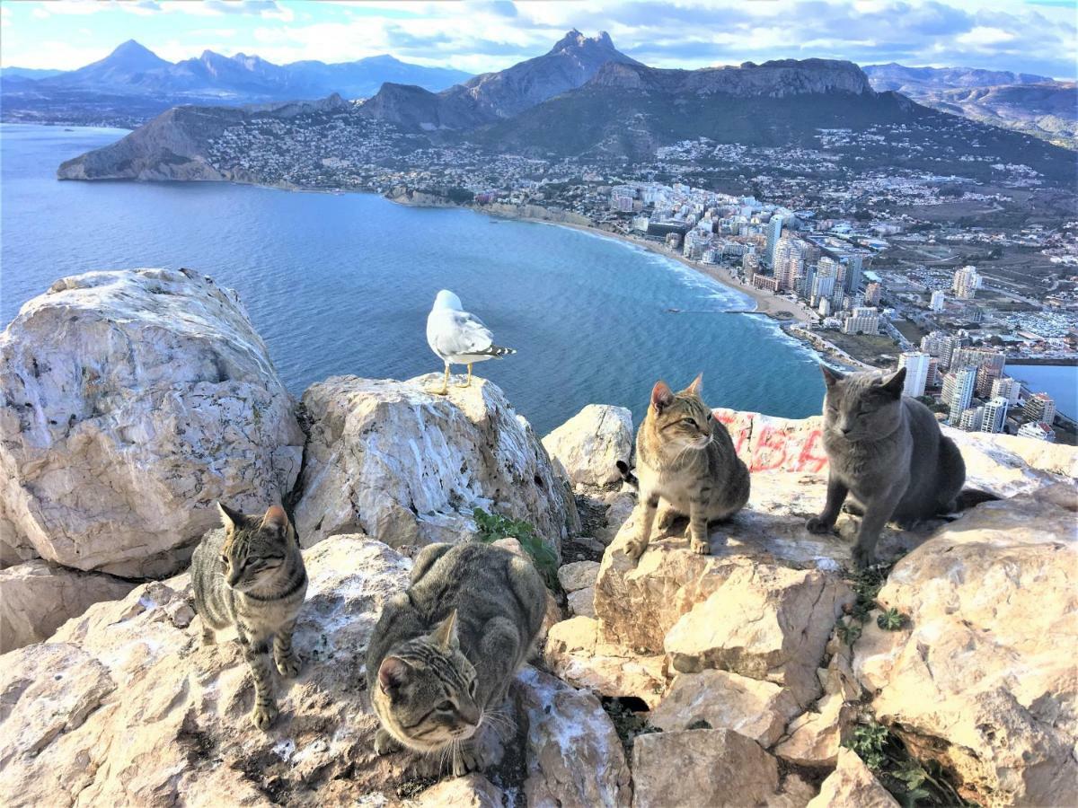 Villa Esmeralda Altea la Vieja Buitenkant foto